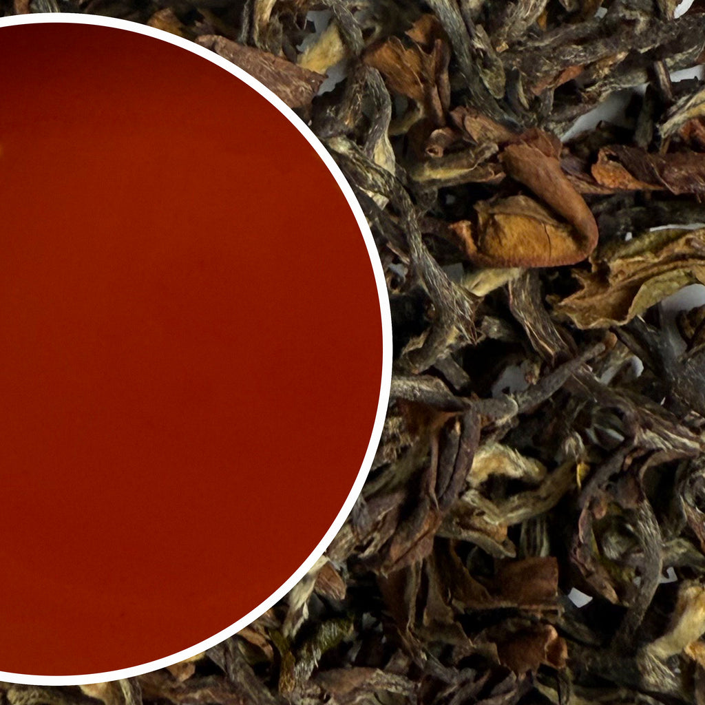 Arya - Summer Ruby Organic Darjeeling Black Tea Second Flush 2025