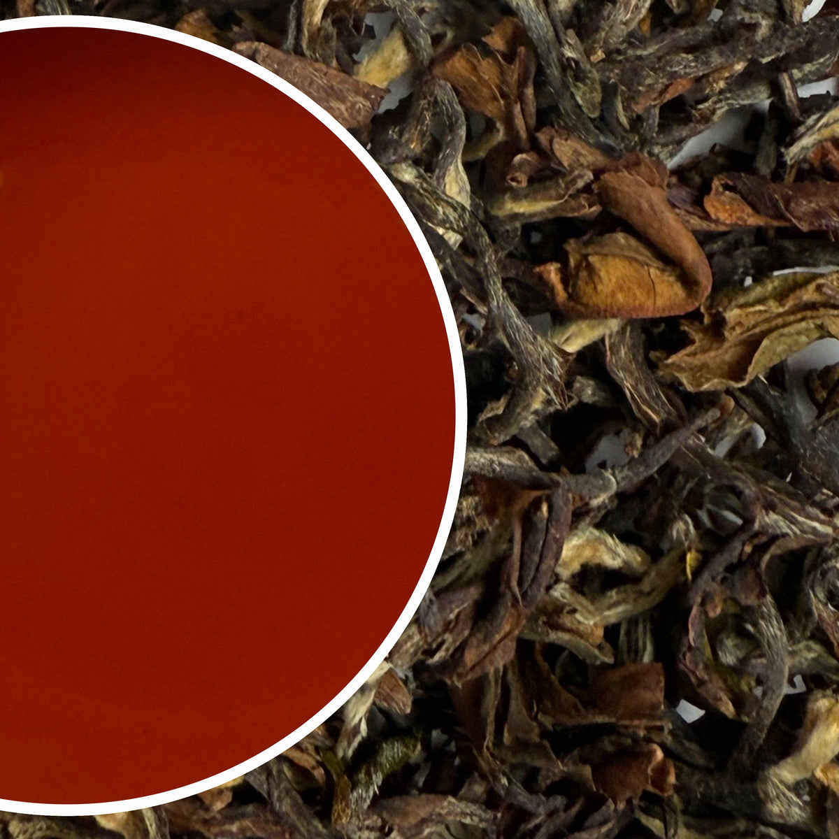 Arya - Summer Ruby Organic Darjeeling Black Tea Second Flush 2025