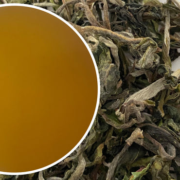 Glenburn - Spring Moonshine Darjeeling Black Tea First Flush 2025