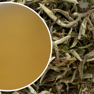Namring - Spring Delizia Darjeeling Black Tea First Flush 2025