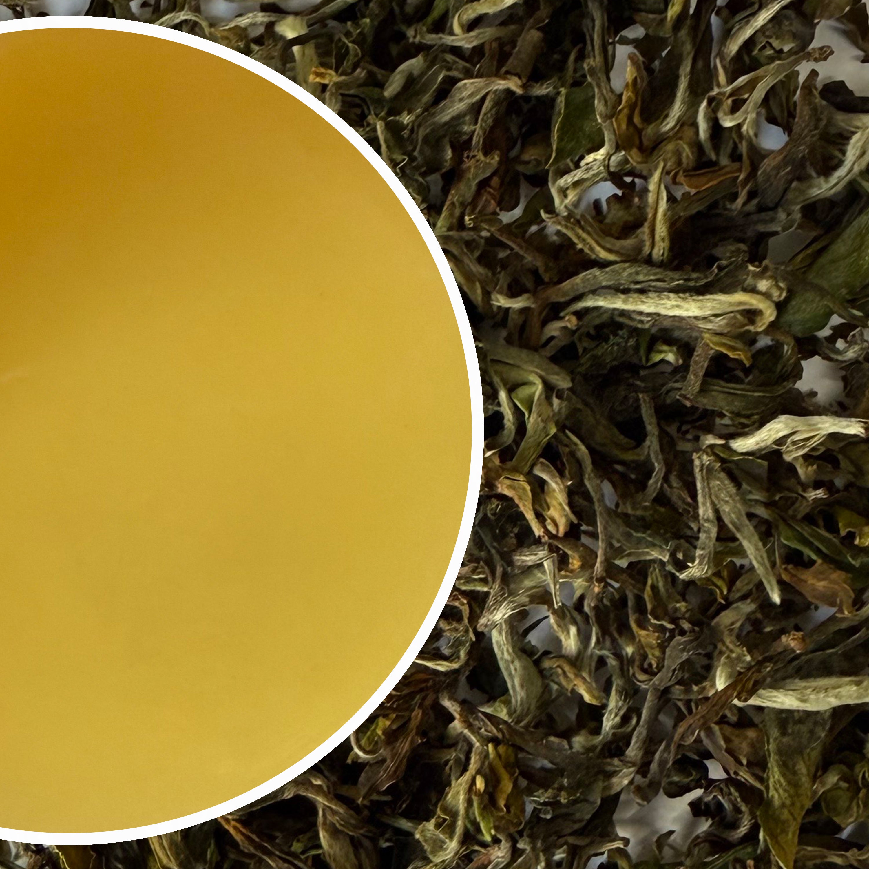 Tukvar - Spring Buds Darjeeling Black Tea First Flush 2025