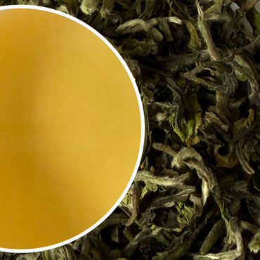 Puttabong - Spring Moondrop Darjeeling Black Tea First Flush 2025