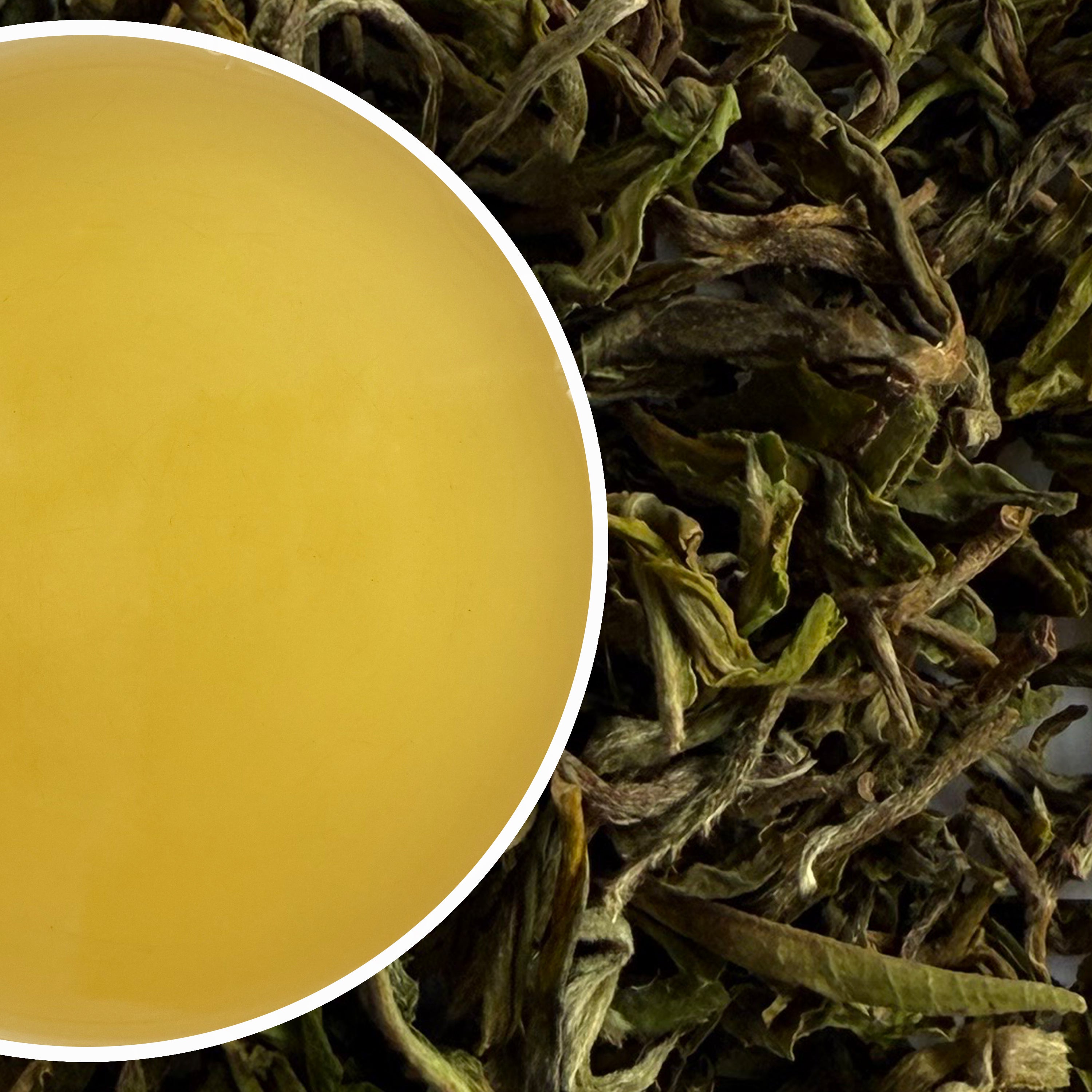 Risheehat - Flowery Spring Ambience Organic Darjeeling Black Tea First Flush 2025