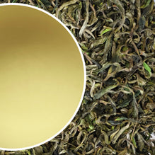Wah - Spring King Kangra Black Tea First Flush 2025