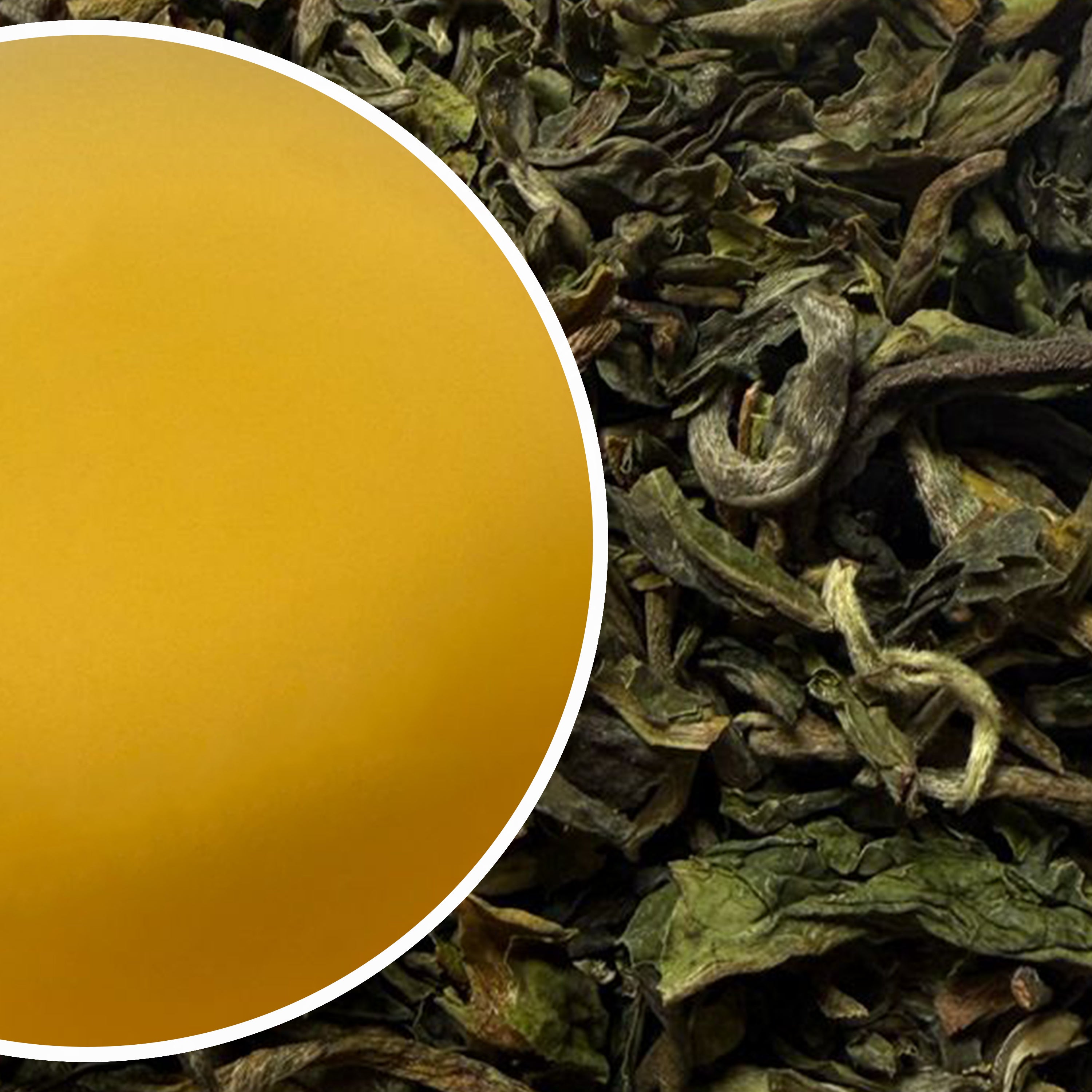 Upper Fagu - Spring Pot Darjeeling Black Tea First Flush 2025