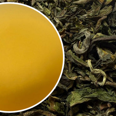 Upper Fagu - Spring Pot Darjeeling Black Tea First Flush 2025