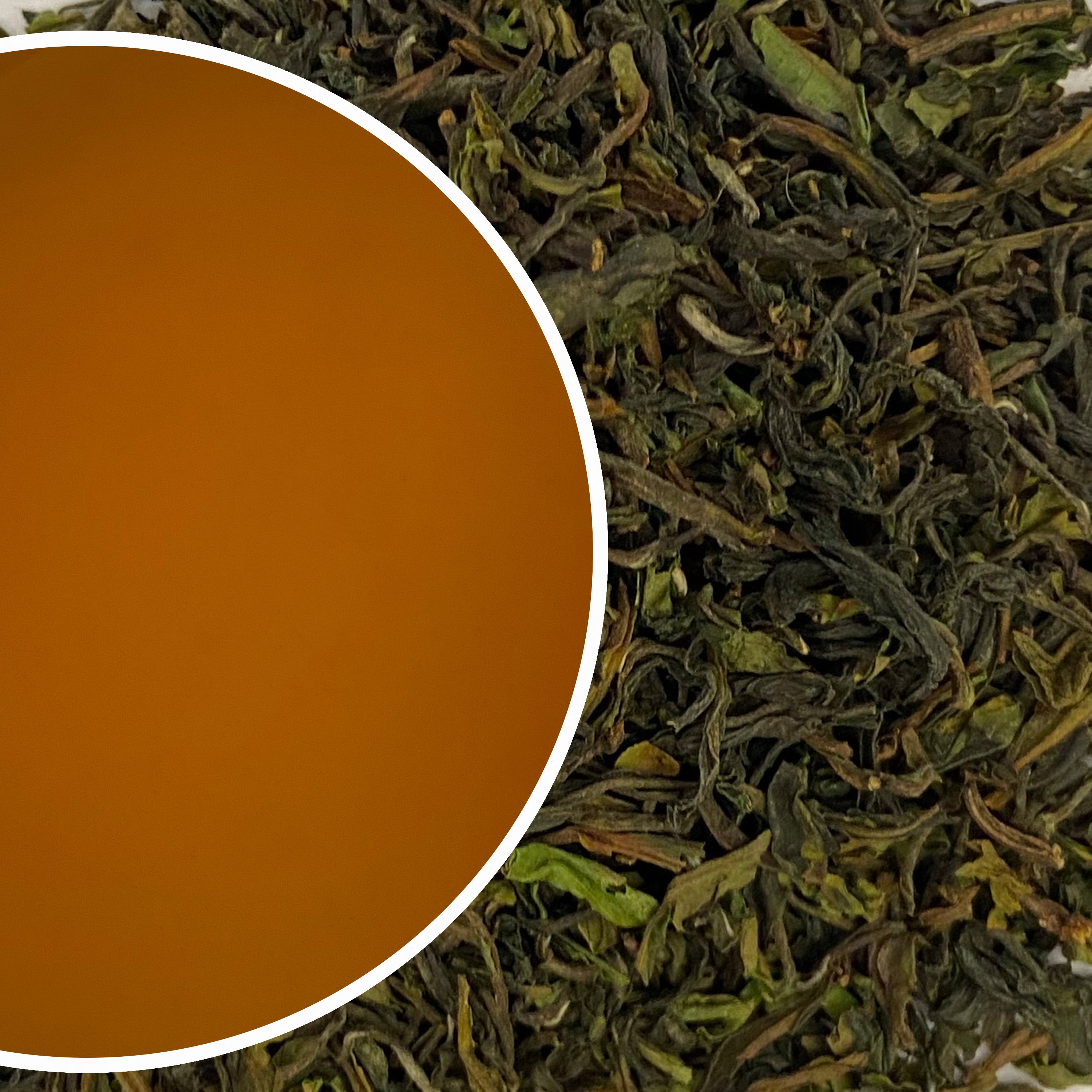Marapur - Terai Fusion Black Tea First Flush 2023
