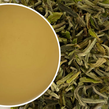 Singbulli - Spring Snow White Darjeeling White Tea First Flush 2023
